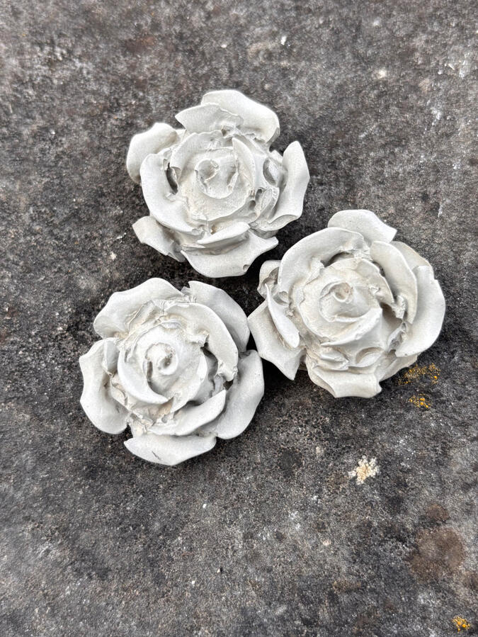 Kleine Rosen Kleine Rosen